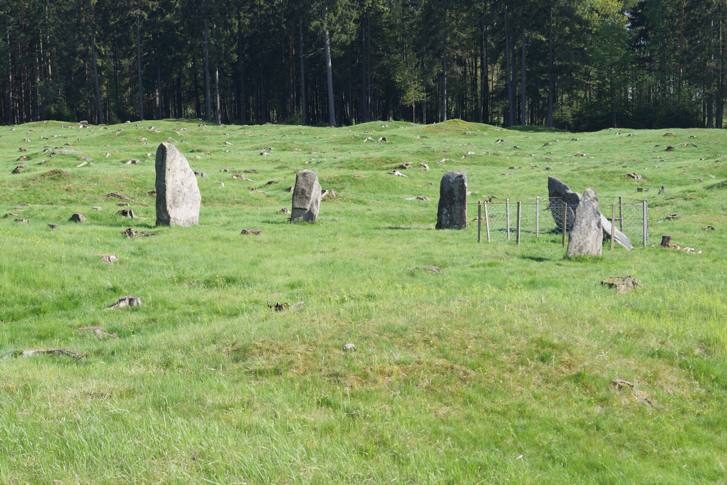 Opstadfeltet Gravfelt - 001 - foto Geir Johansen.jpg