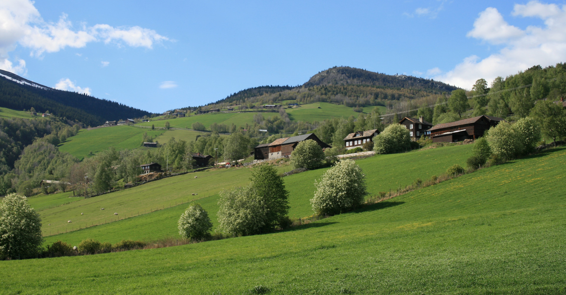 004 Garderoppi åssiden litt nord for Kvam - Foto Geir Johansen.jpg