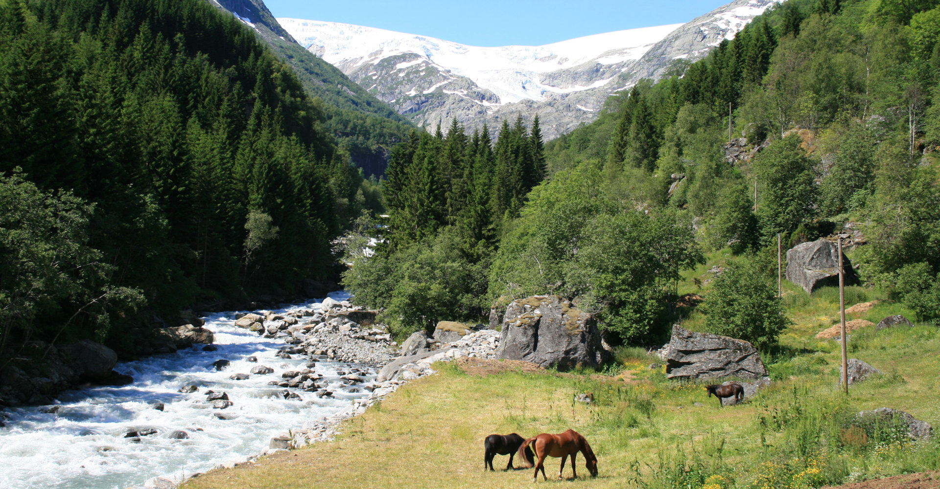 0001 3 Buerdalen og Buerbreen - foto Geir Johansen.jpg