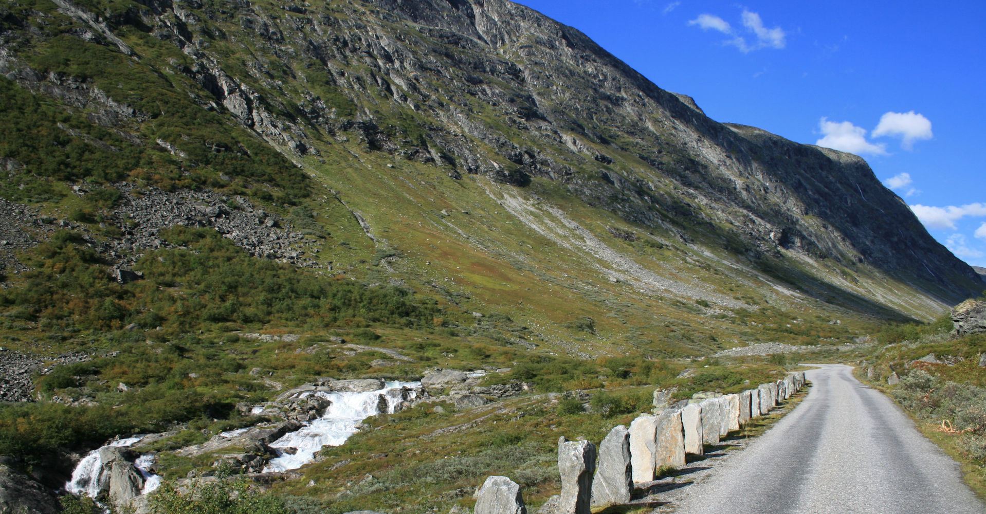 009 - Videdalen på tur opp til Strynefjellet - Foto Geir Johansen.jpg
