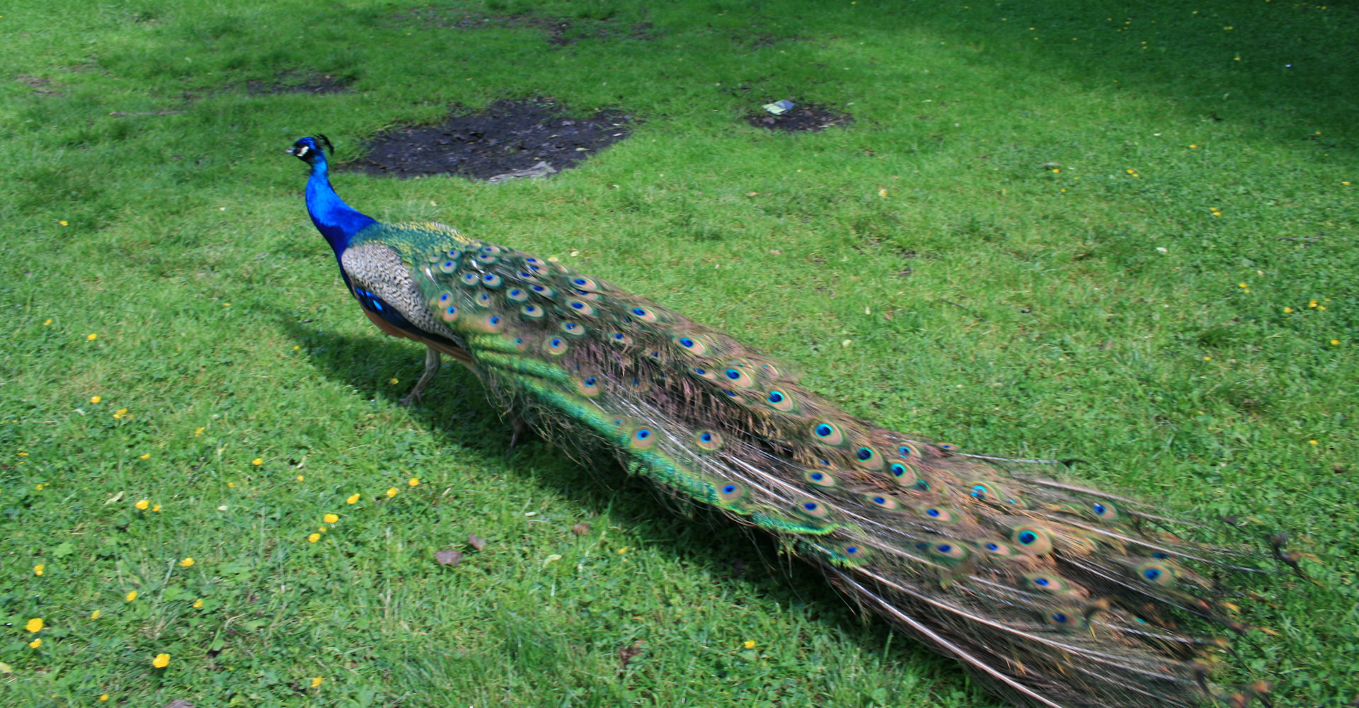 010 Gulskogen gård - Foto Geir Johansen.jpg