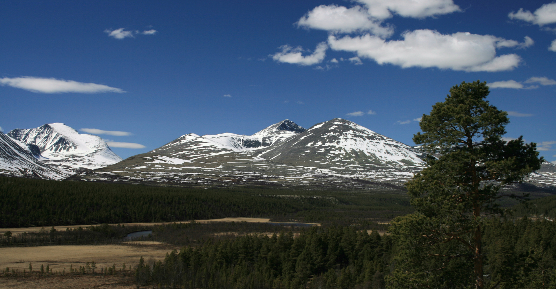 006 Rondane - Foto Geir Johansen.jpg