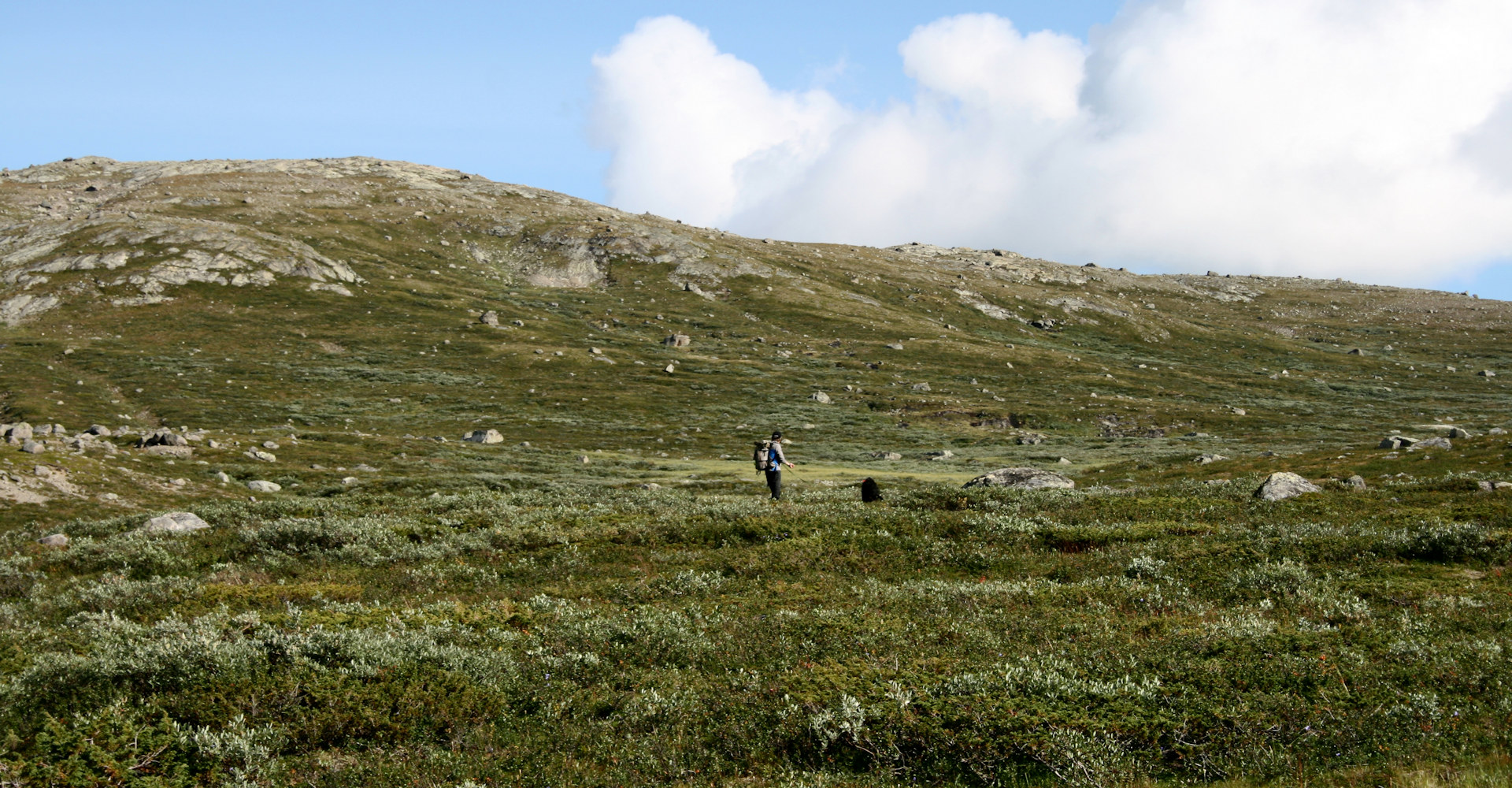 0007 Fantastisk turterrengt-foto Geir Johansen.jpg