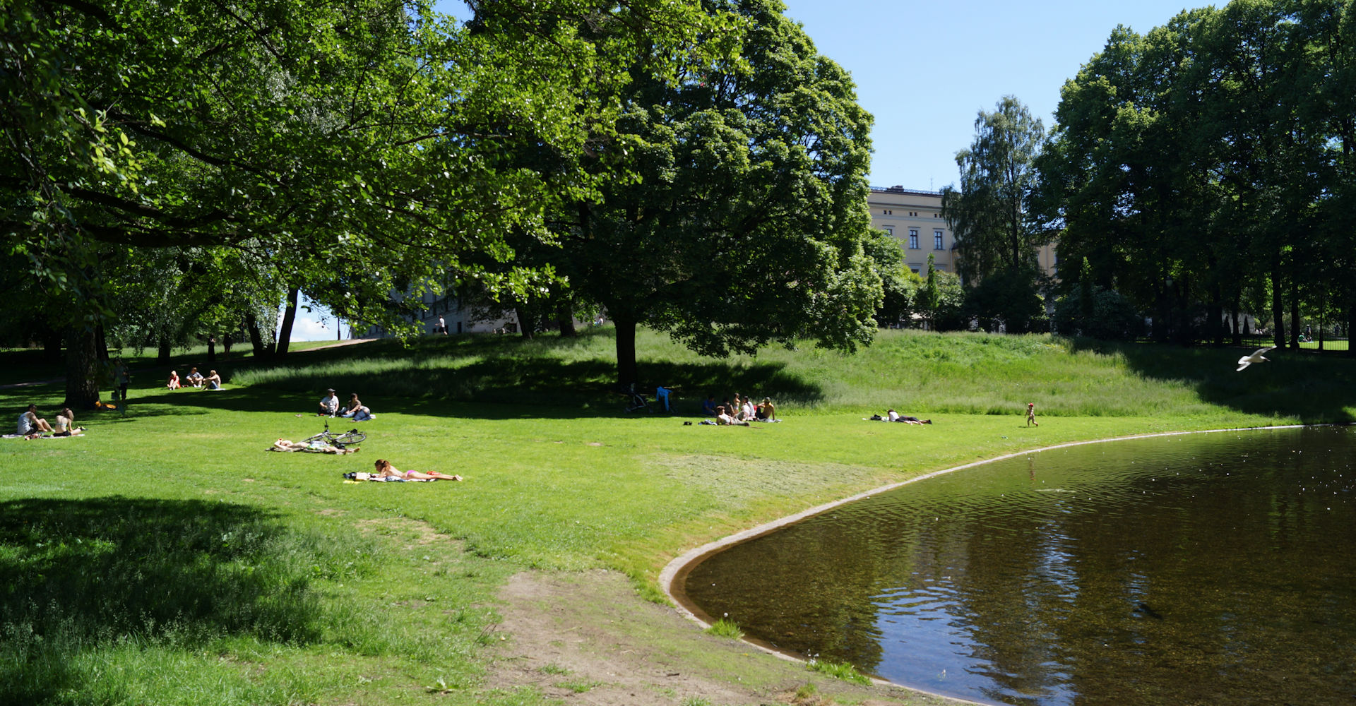 022 Slottsparken - Foto Geir Johansen.jpg