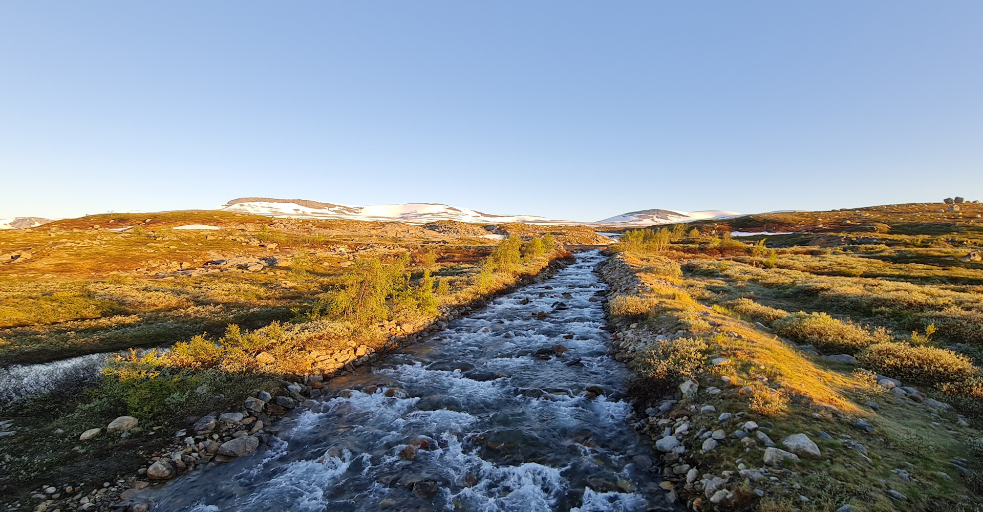Natur på Saltfjellet-foto Geir Johansen.jpg