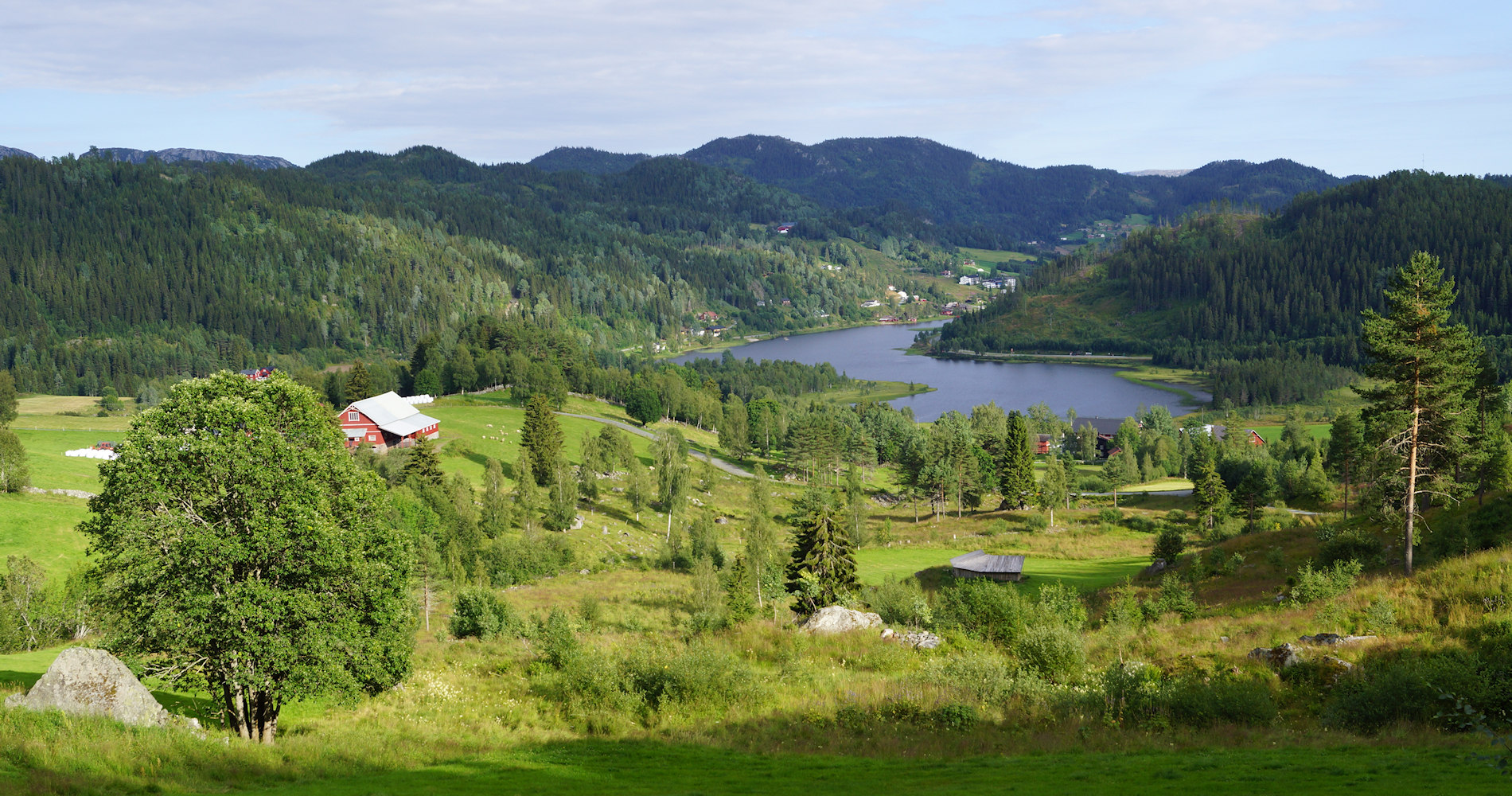 Morgedal-natur-foto Geir Johansen.jpg