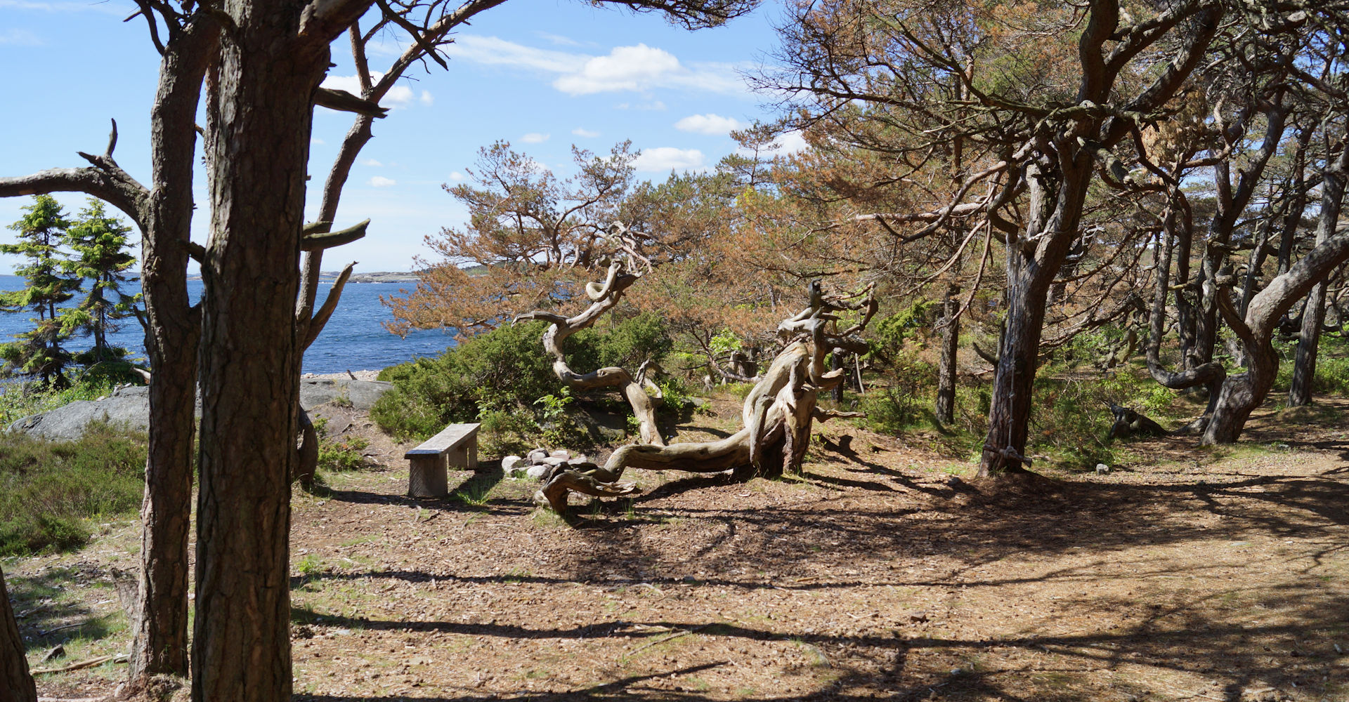 011 - Hove og Hoveskogen - Foto Geir Johansen.jpg