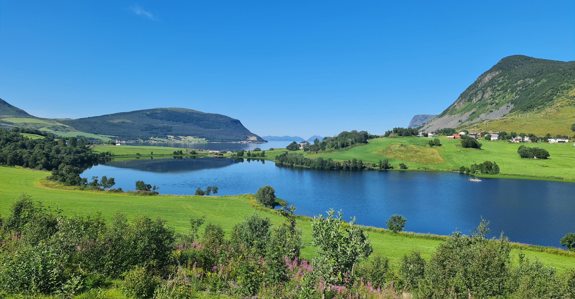 20220731_132338 - foto Geir Johansen.jpg