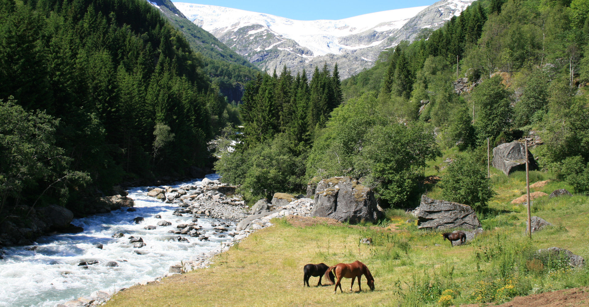 012 Buerdalen og Buerbreen-foto Geir Johansen.jpg