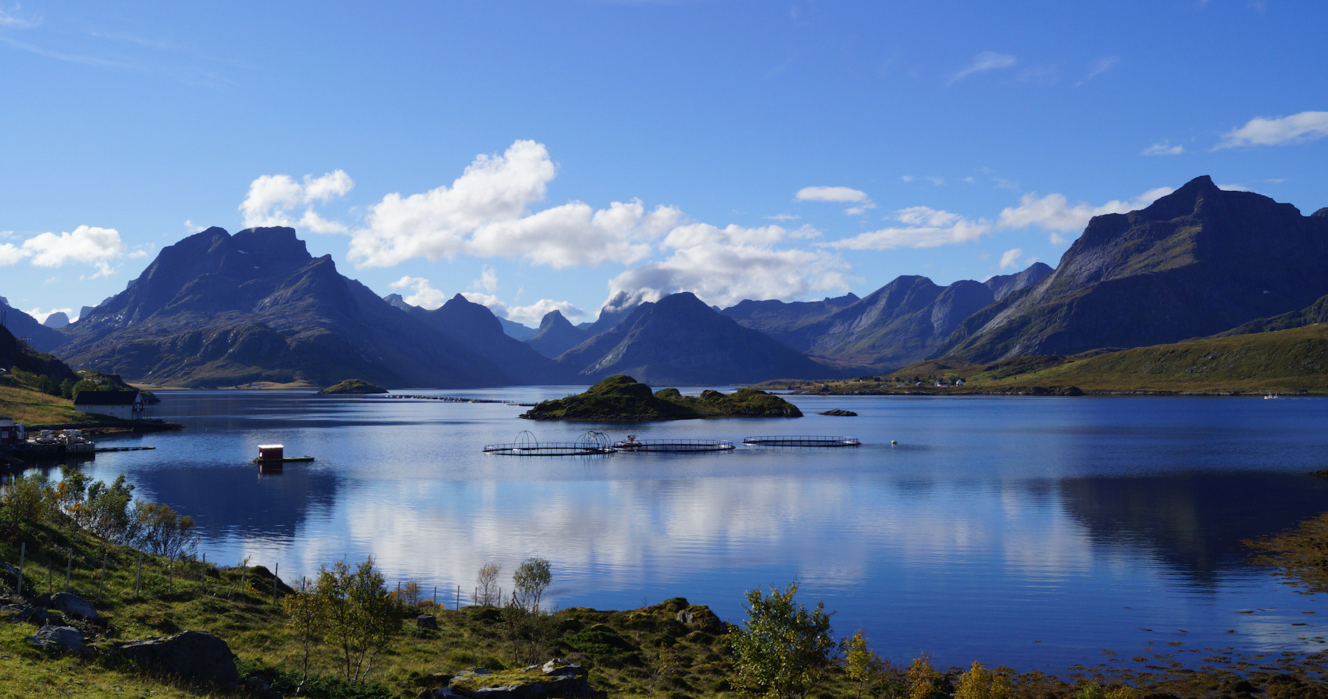 029c Selfjorden- foto Geir Johansen.jpg