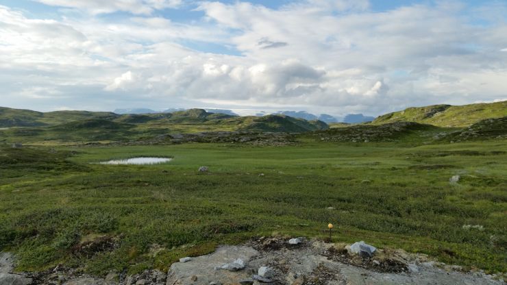 002 Utsikt mot Hardangerjøkulen-foto Geir Johansen.jpg