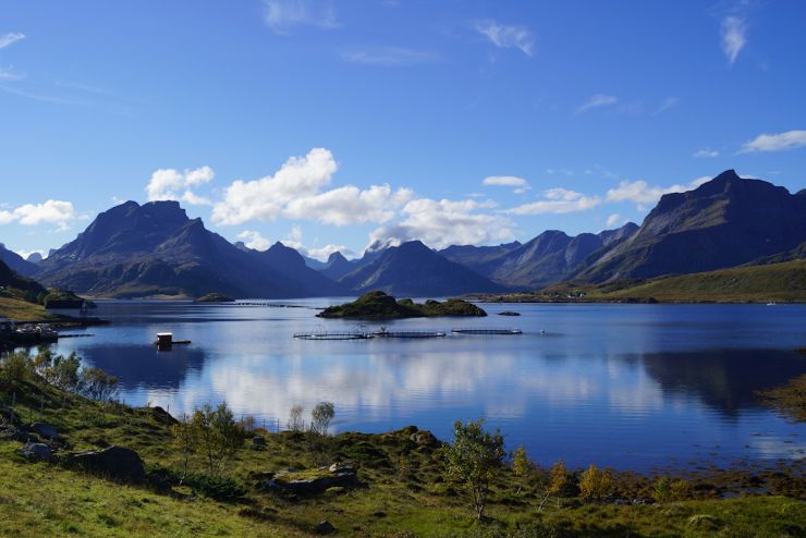 Lofoten-utsikt_over_Selfjorden-foto Geir Joansen.jpg