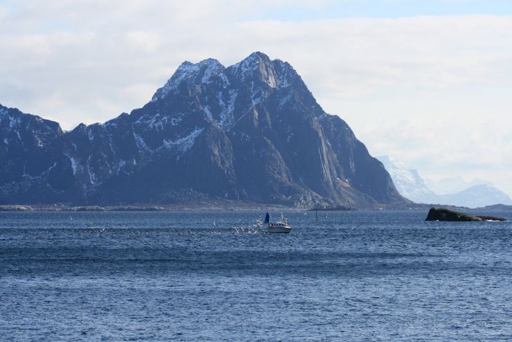 Svolvær-fiske utenfor Svolvær - Foto Geir Johansen.jpg