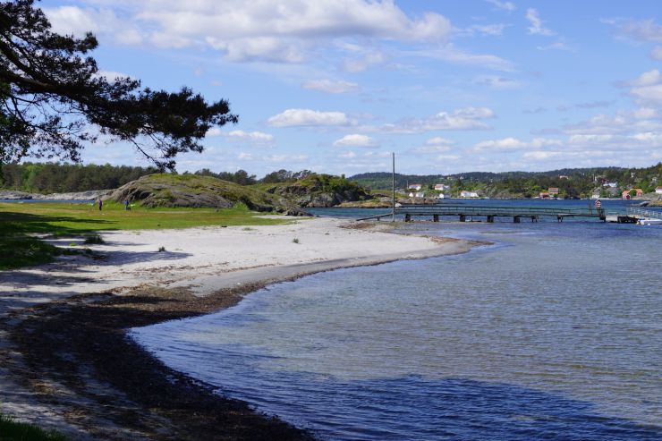 x Hove og Hoveskogen 013 - Foto Geir Johansen.jpg
