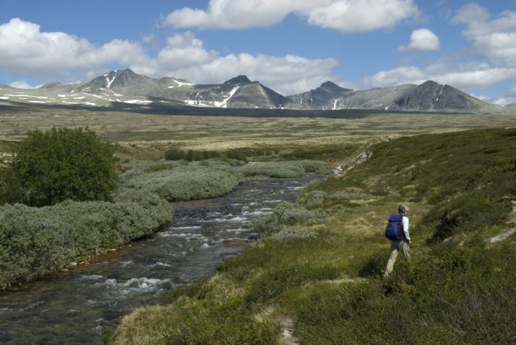 Pa_vandretur_i_Rondane_-_foto_Saxifraga-Jan_van_der_Straaten.jpg