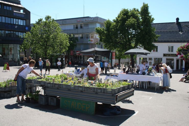 Litt torghandel i sentrum-foto Geir Johansen.jpg