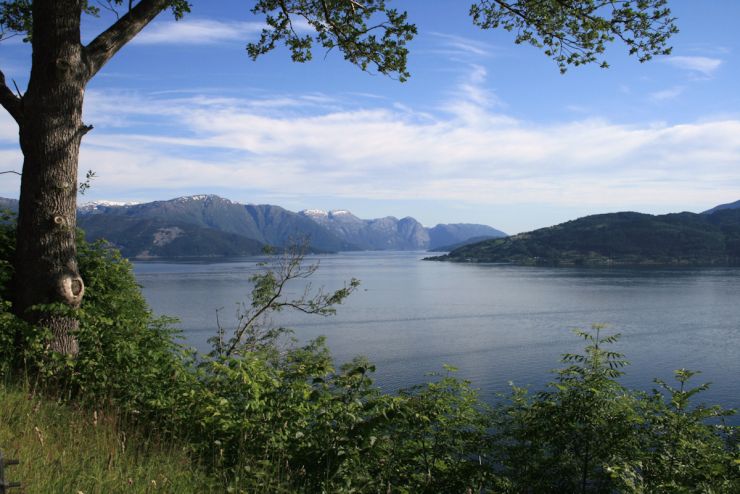 Hardangerfjorden ved Norheimsund-foto Geir Johansen.jpg