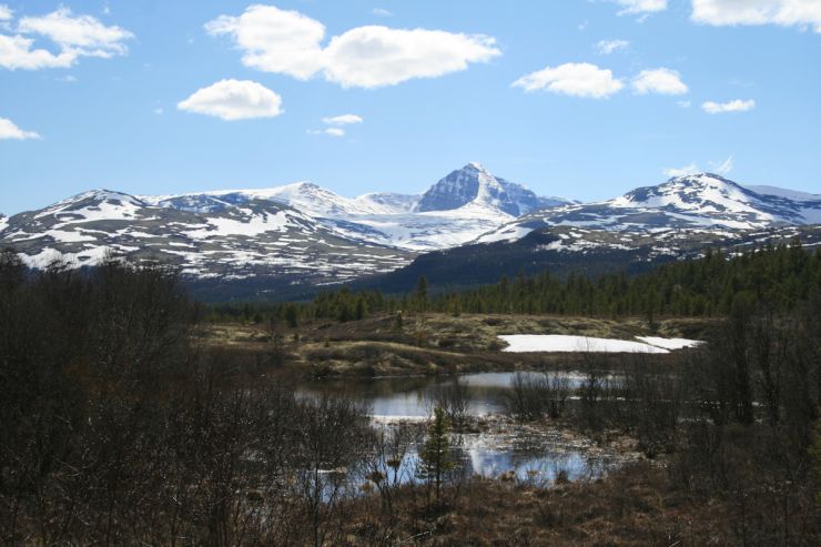 Rondane 001 - Foto Geir Johansen.jpg